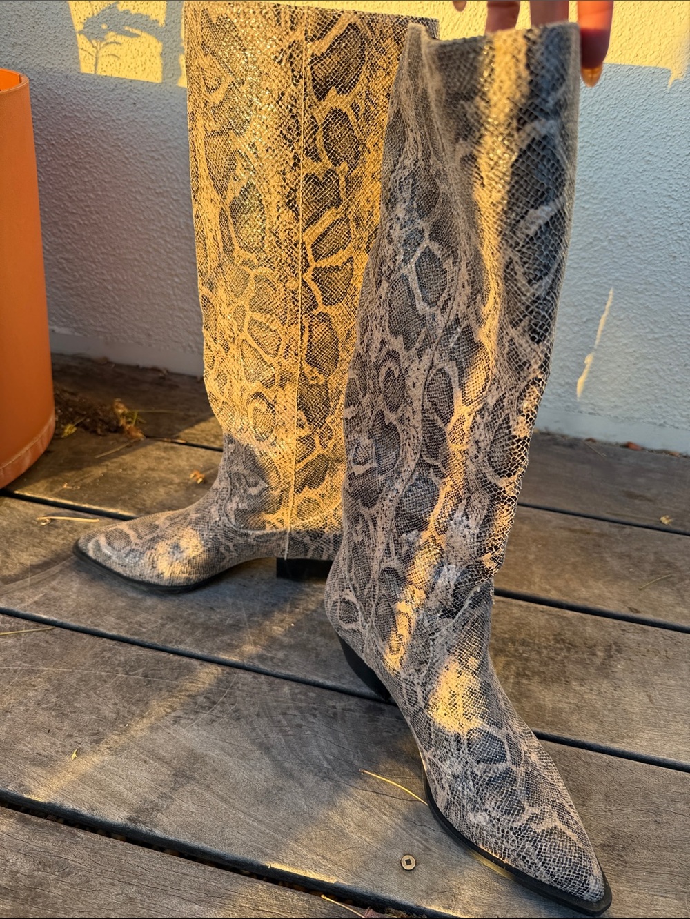 Steve Madden Snake Print Pointed Toe Boots